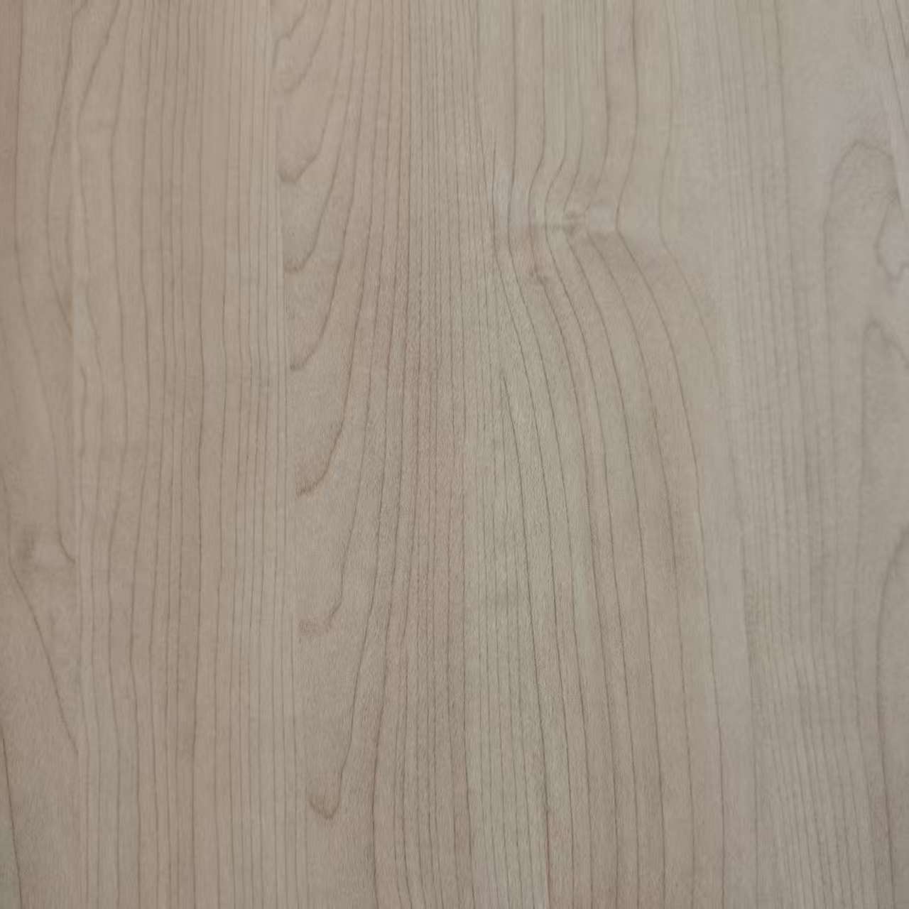 멜라민 종이8031-10